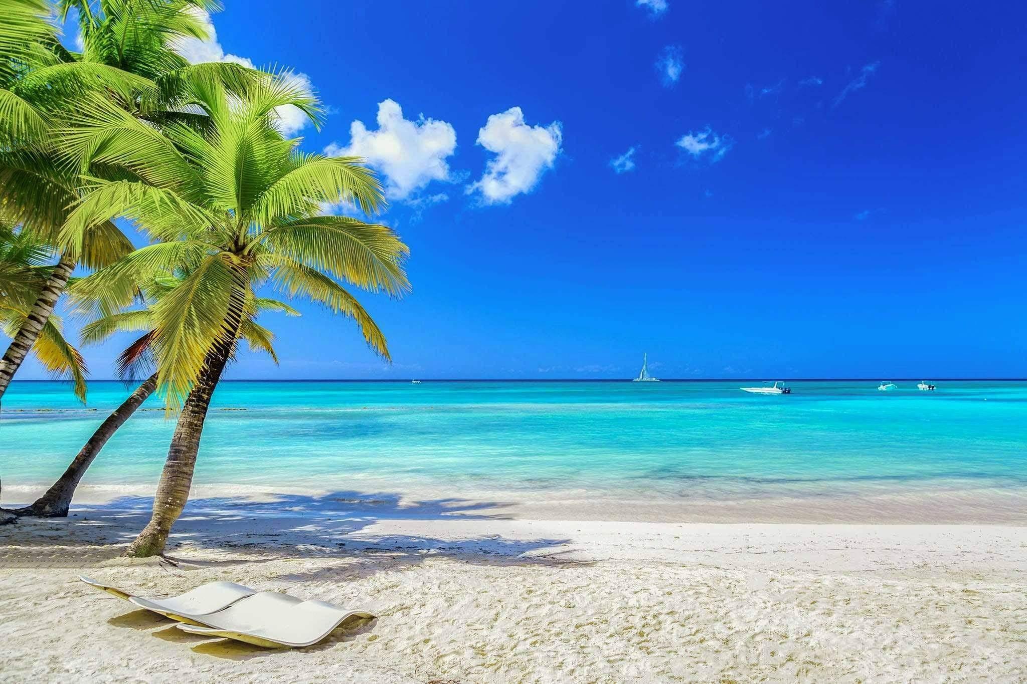 Beach with Palm trees and blue sky