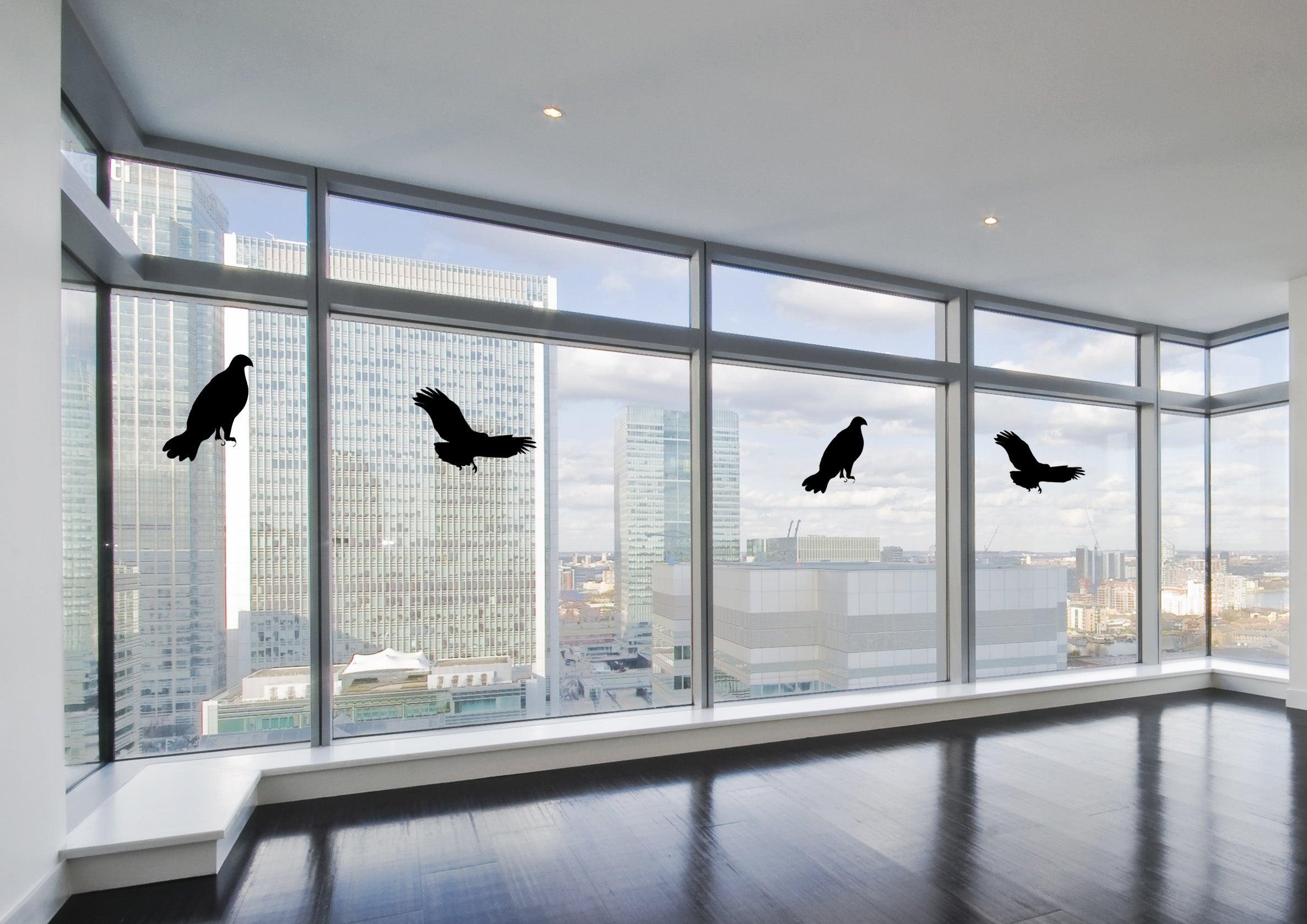 Birds of Prey Widow Stickers, keeps birds from hitting windows