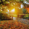 Dreamy Bridge with Fall Colours and Sunset, Wallpaper, Peel-N-Stick and Removes Easily Anytime