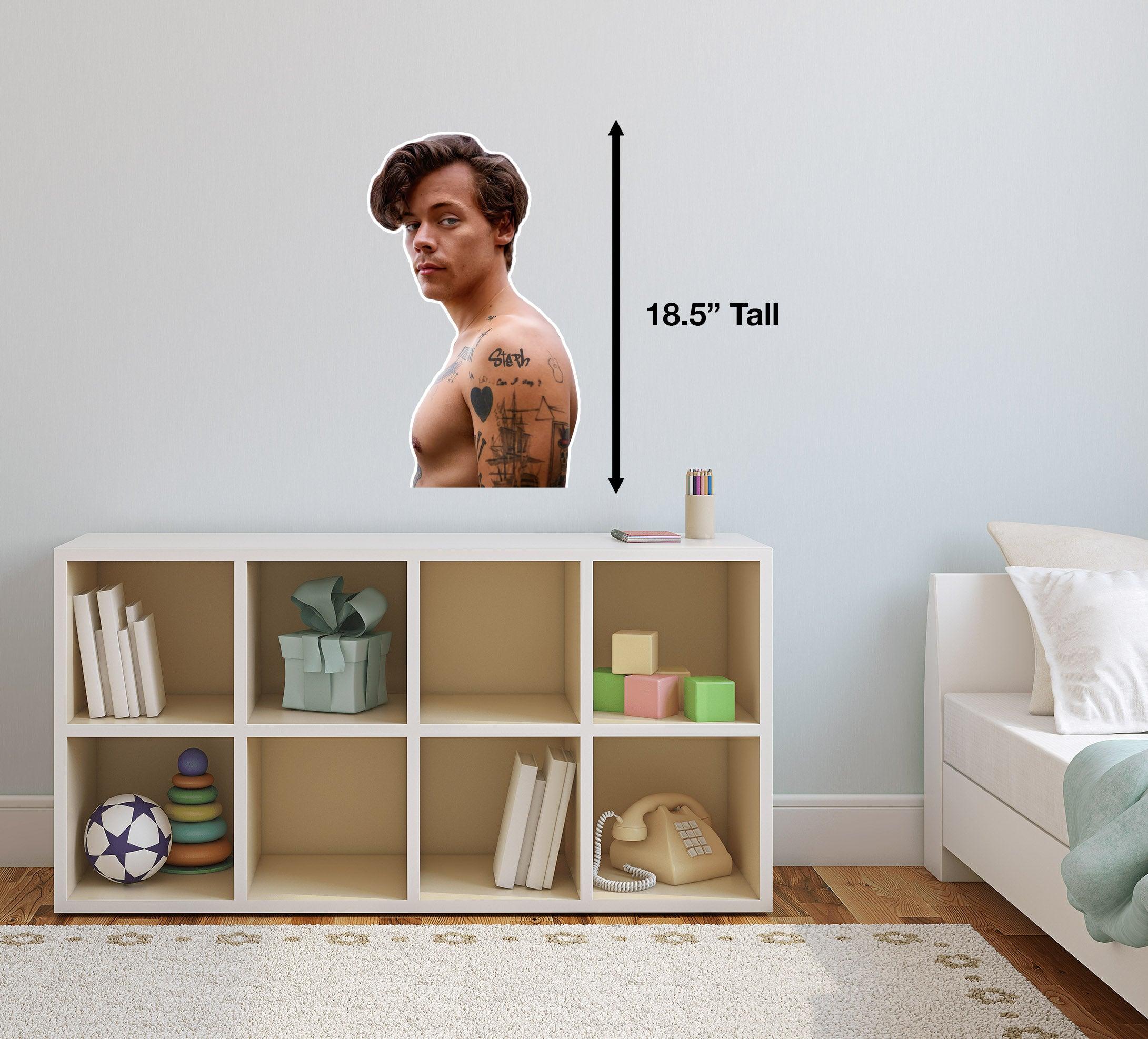 CoolWalls.ca Sticker Harry Style Wall Cut out Sticker Decal: Peel-N-Stick: Customizable Tattoo