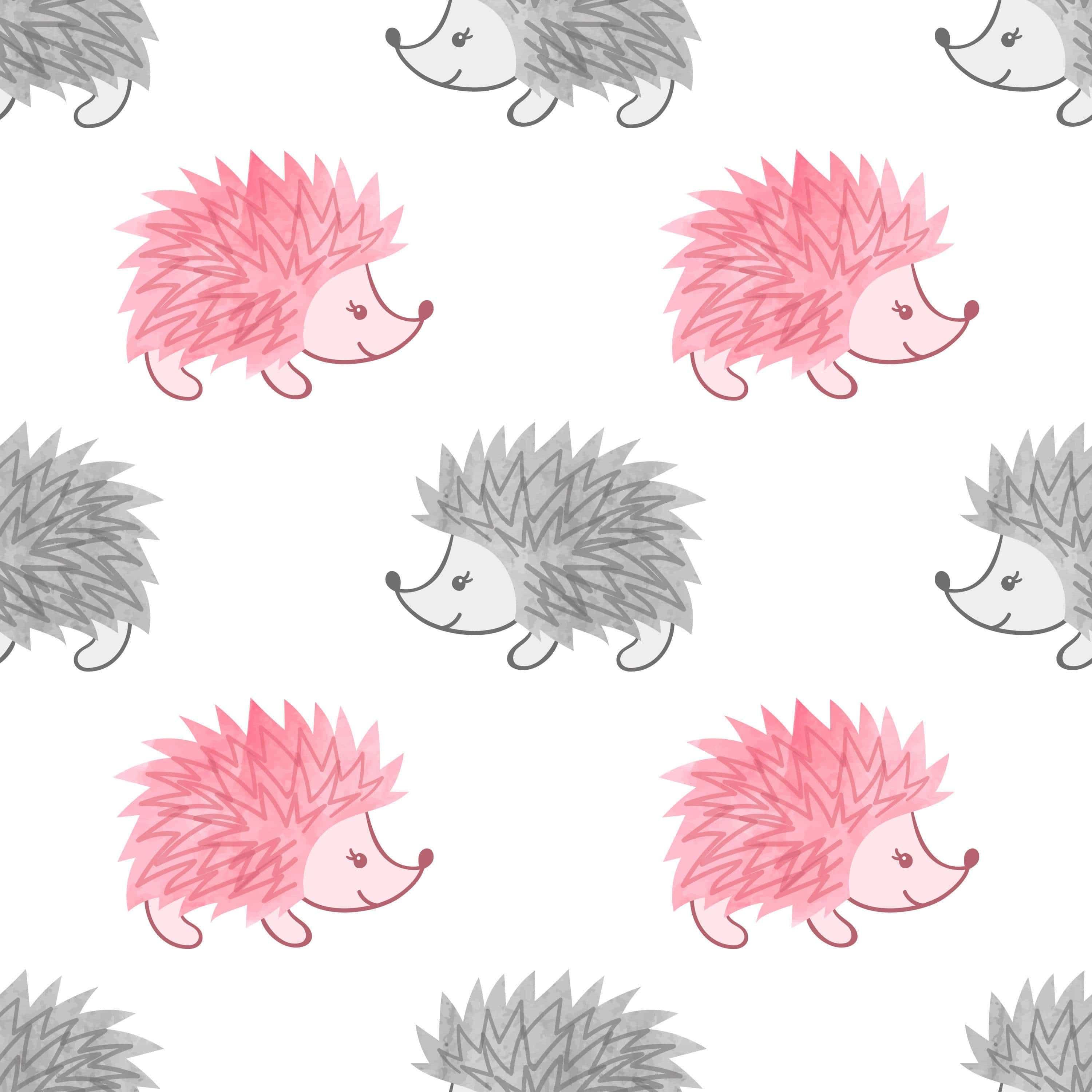Pink Grey WartHogs Removable Wallpaper in 28" Rolls