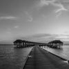 Sunset on Maldives island pier to water villas resort B&W
