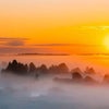 Wide Sunset over foggy forest