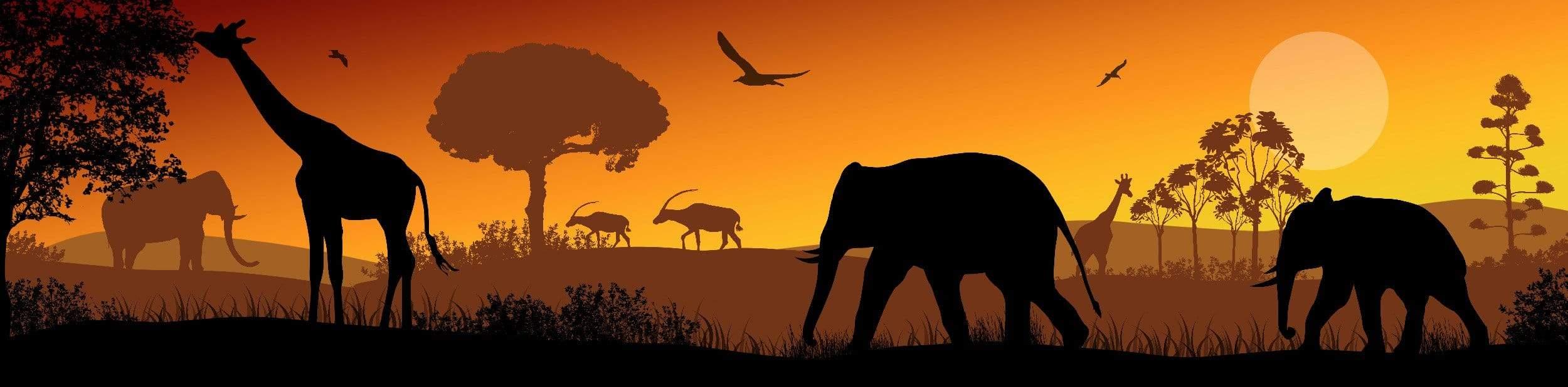 Animals at sunset Panorama