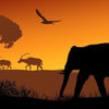 Animals at Sunset Panorama