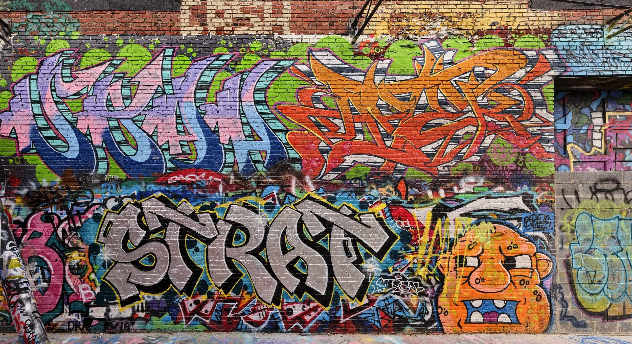 Baltimore Alley Wall on Brick Wall wall paper