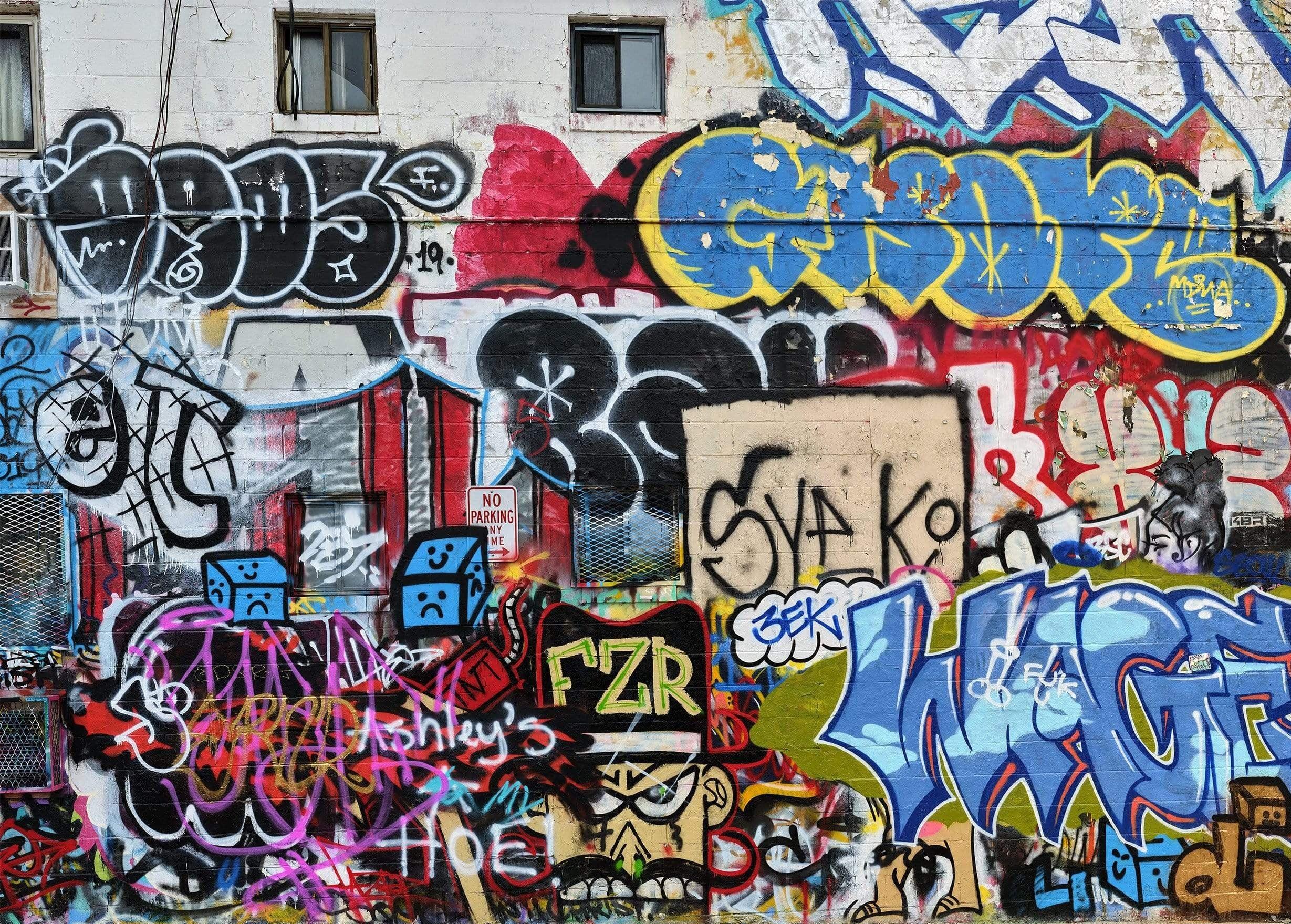 Baltimore Graffiti Alley Wall 1