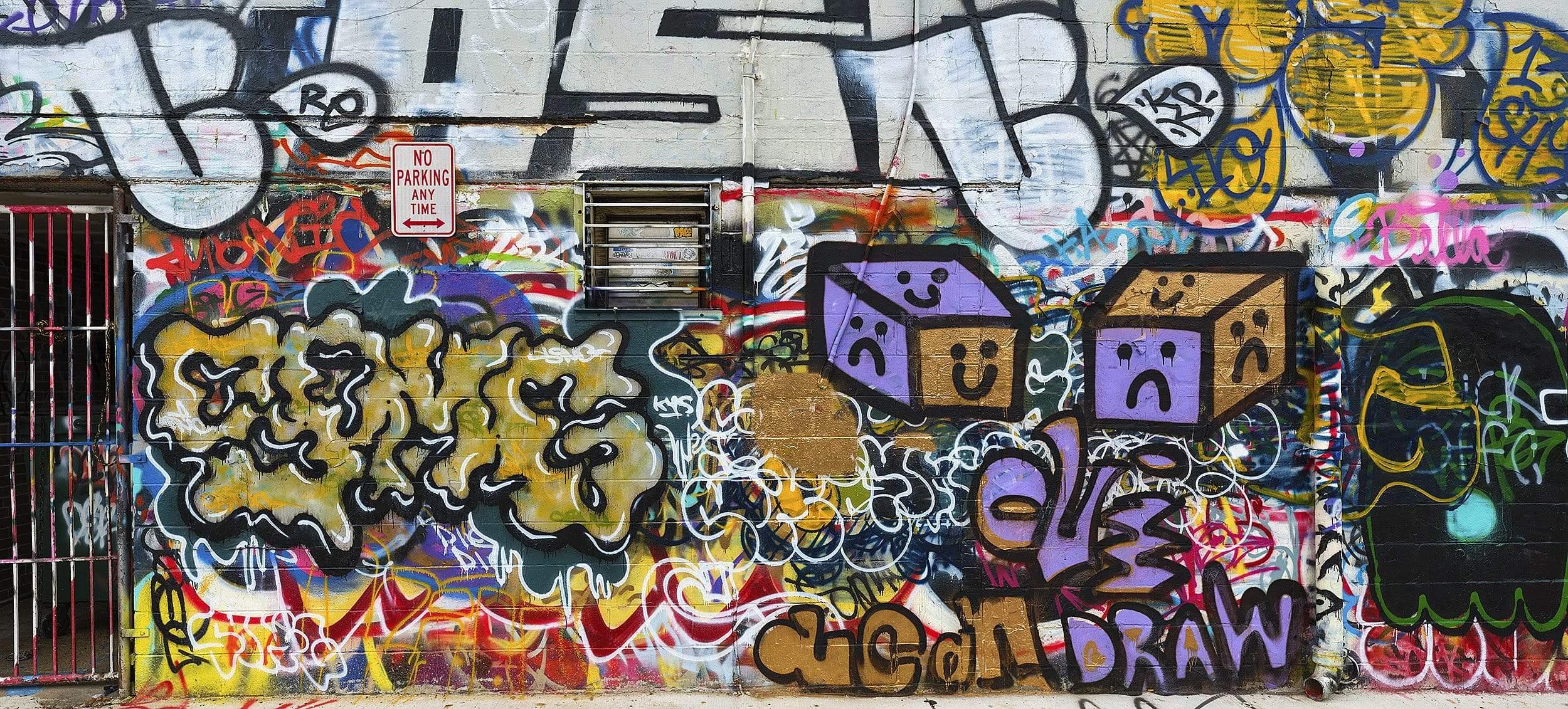 Baltimore Graffiti Alley Wall 7