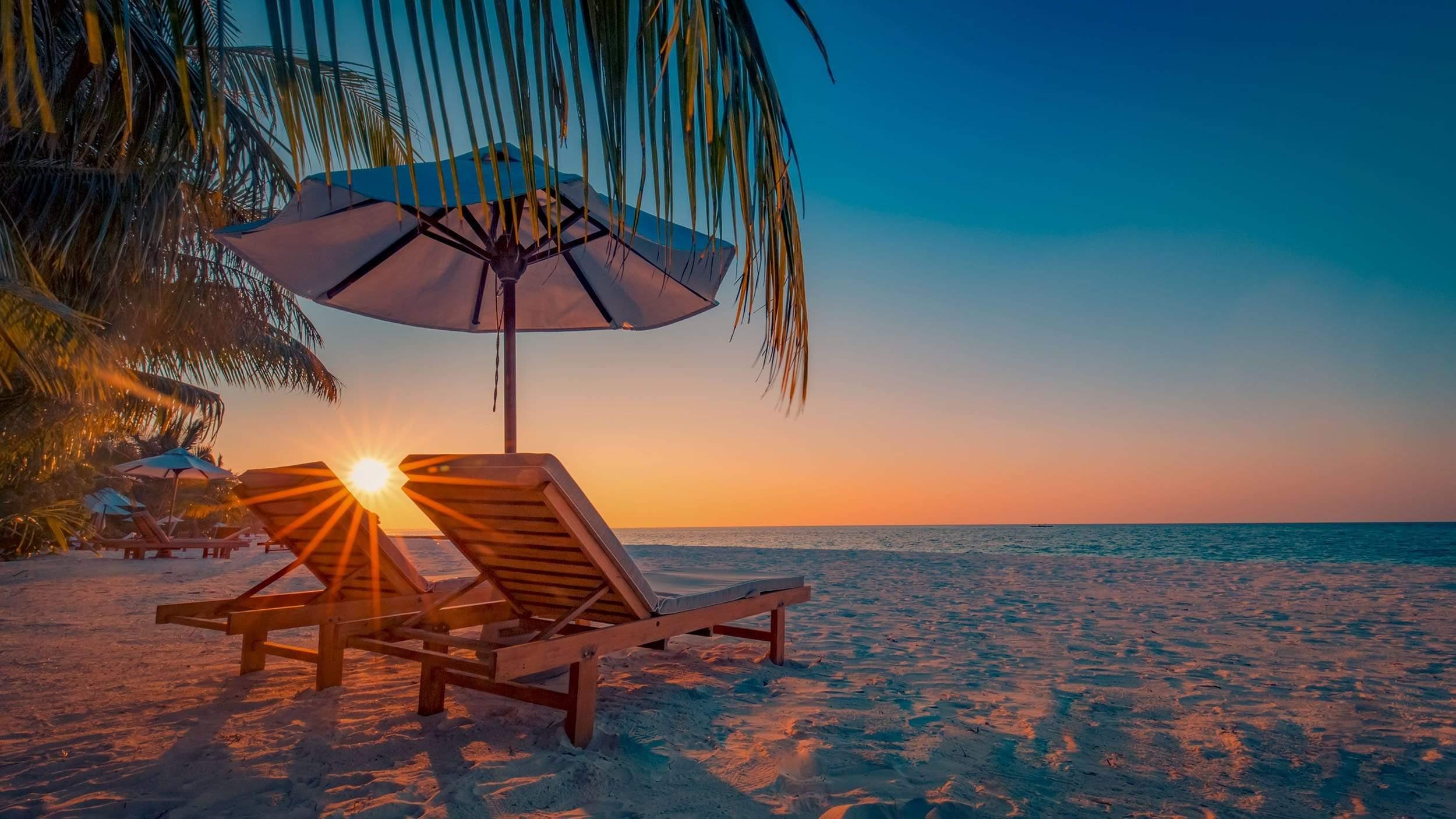 Beach chairs under palm tree sunset on beach