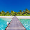 Beach with Dock and Palm Trees over Water, Wallpaper, Peel-N-Stick and Removes Easily Anytime