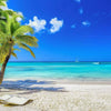 Beach with Palm Trees and Blue Sky, Wallpaper, Peel-N-Stick and Removes Easily Anytime