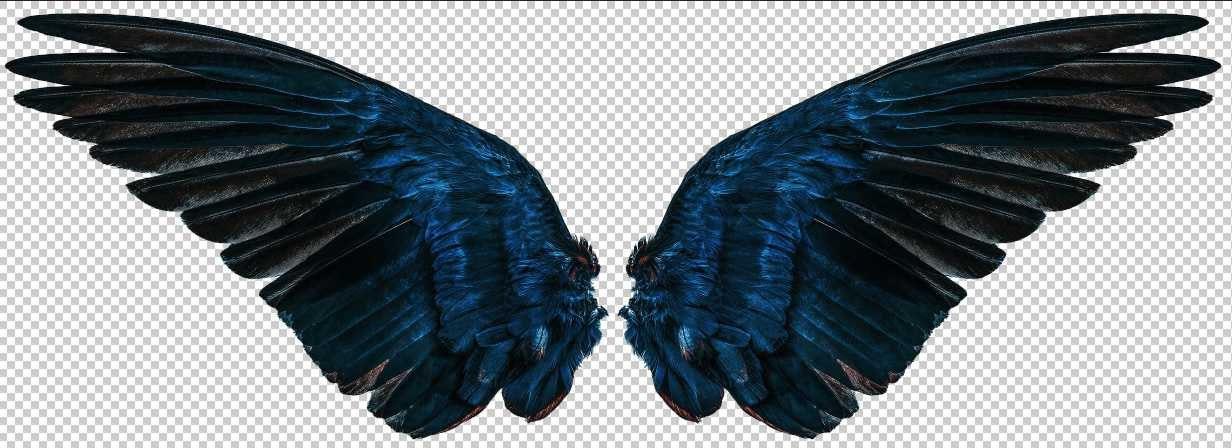 Blue Wings Die Cut to Wings, Wall Decals, Raven Wings