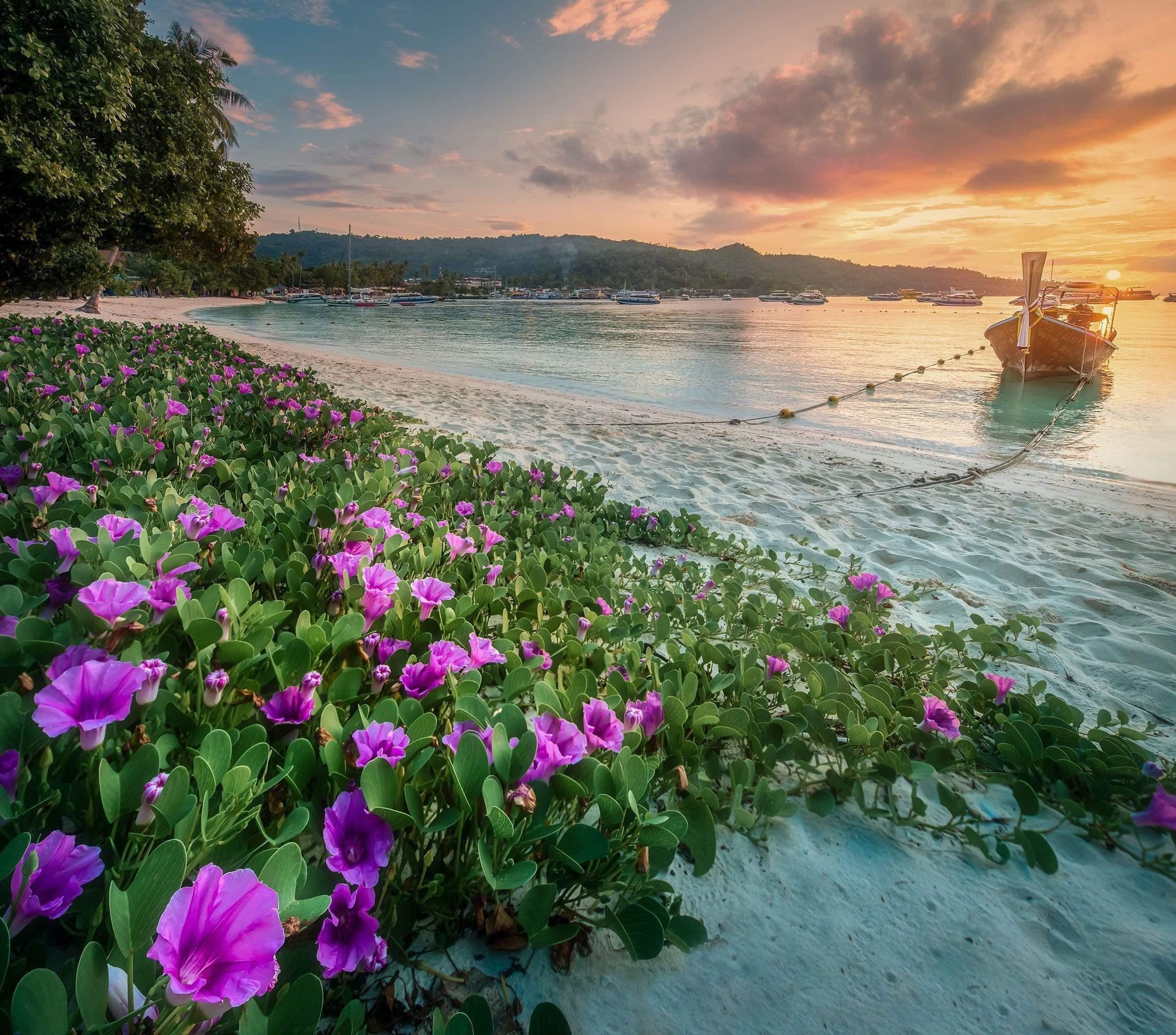 Boat on beach with flowers and sunset wall mural wallpaper