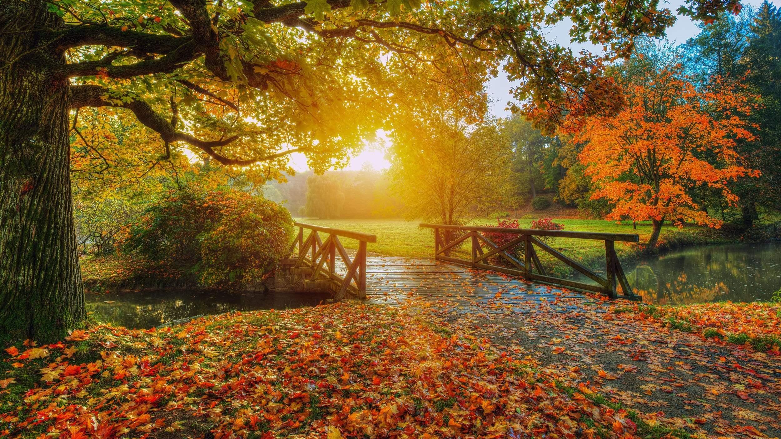 Dreamy bridge with fall colours and sunset