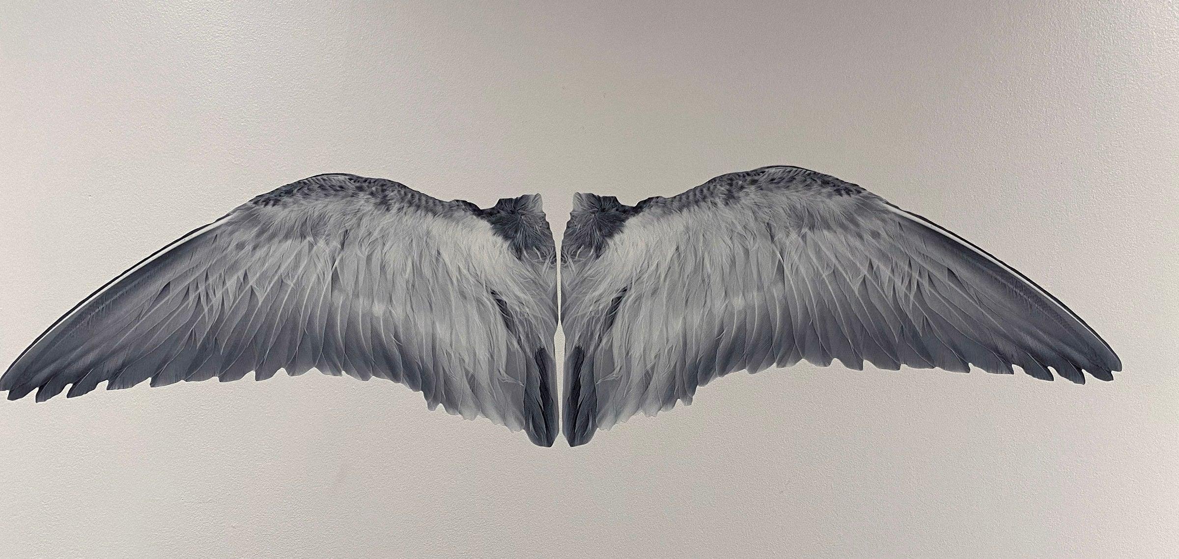 Gray Angel Wings Decal