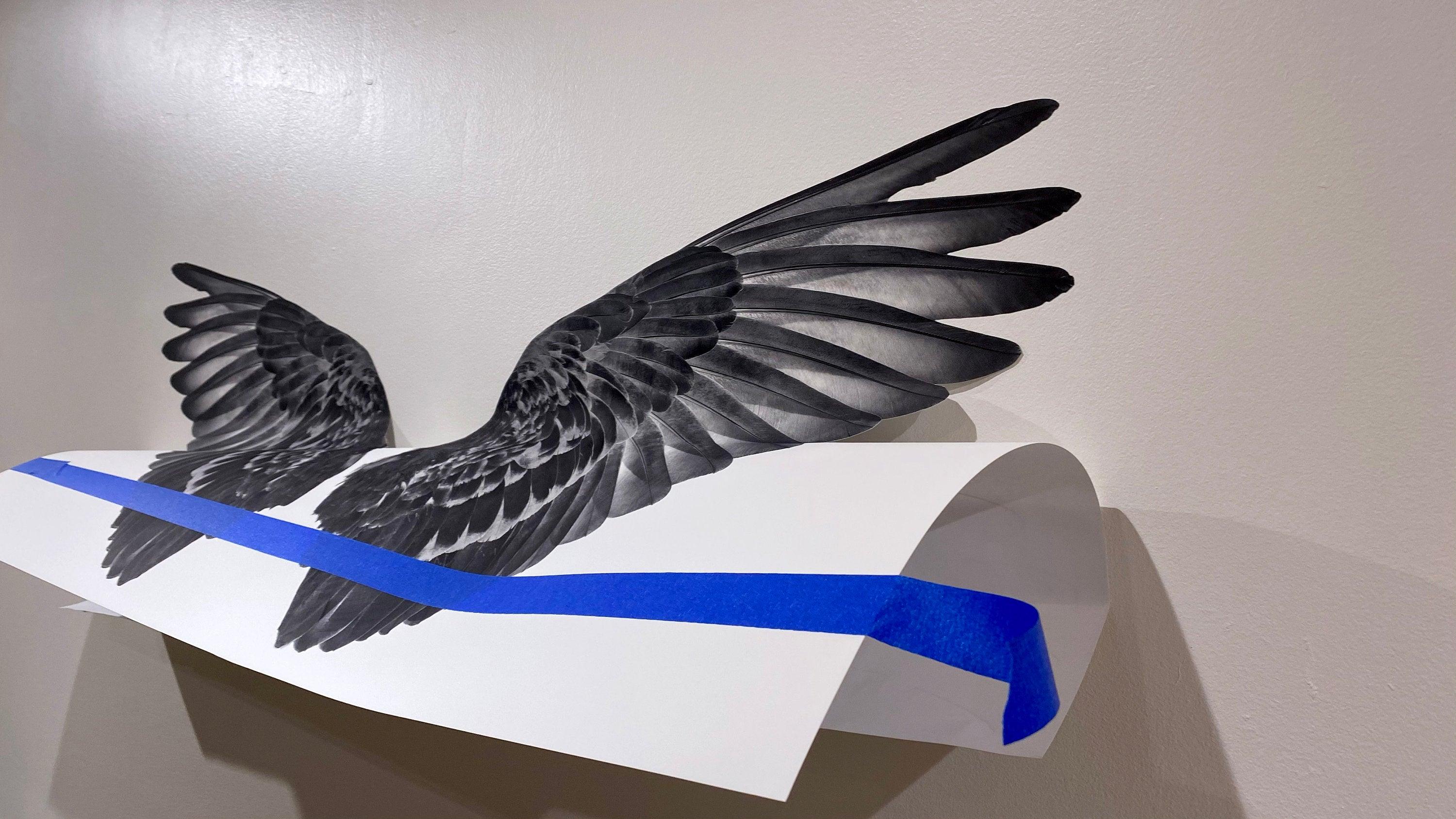 Gray Angel Wings Decal, Street Art, Graffiti, Instagram image,