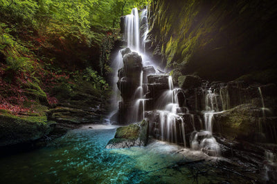 Green forest waterfall