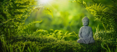 Green Zen Forest with Buddha statue