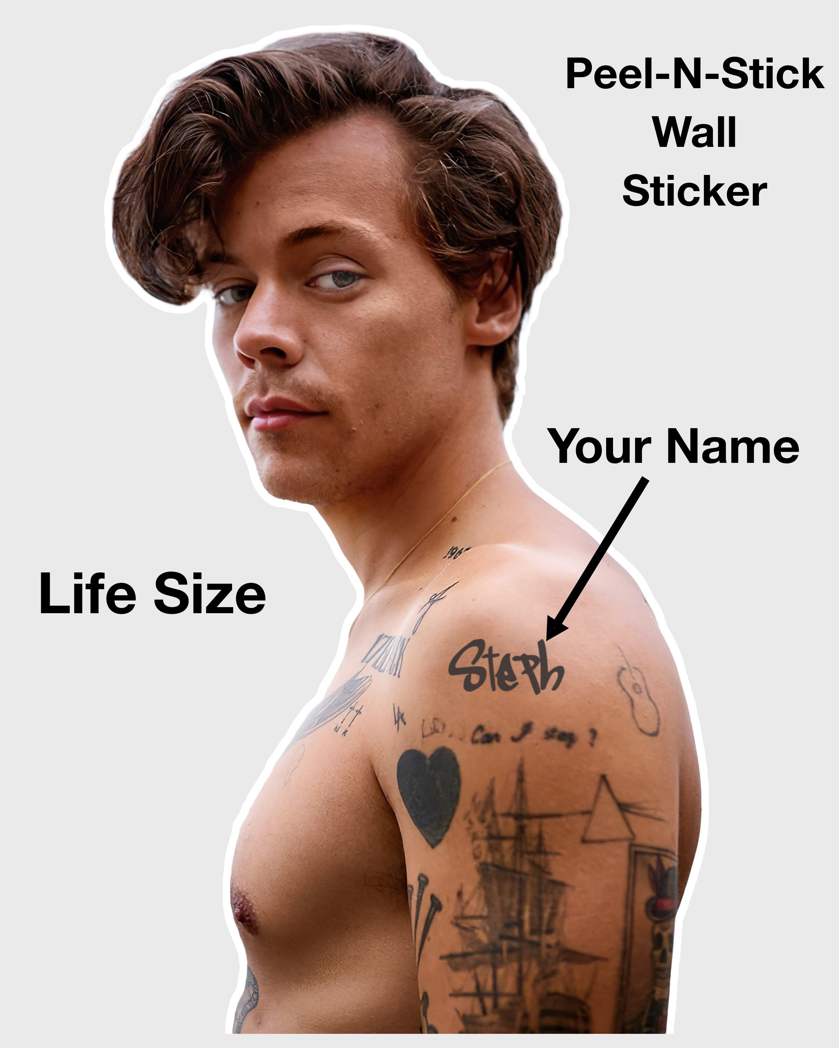 CoolWalls.ca Sticker Harry Style Wall Cut out Sticker Decal: Peel-N-Stick: Customizable Tattoo