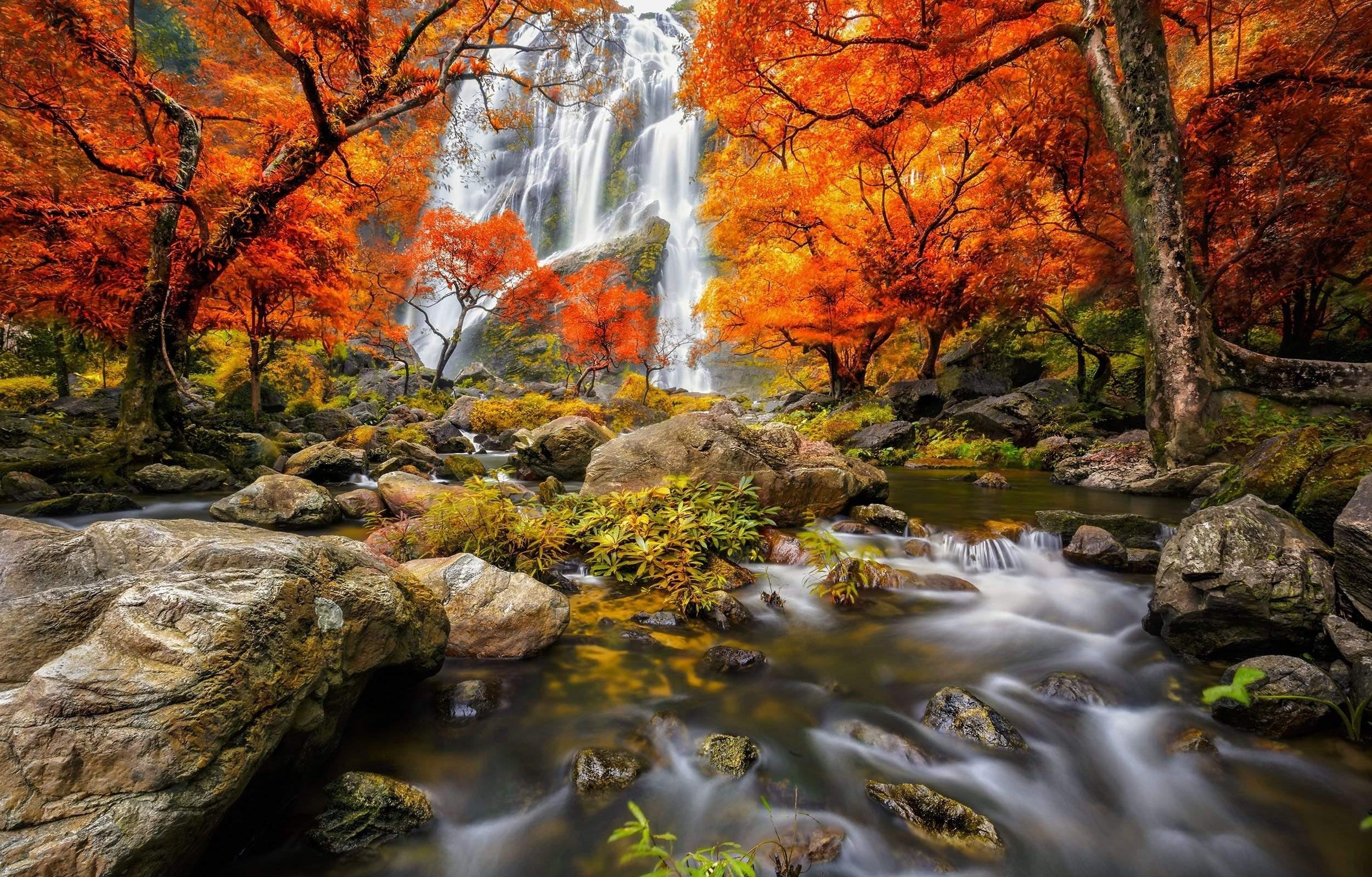 Magestic Waterfall with Fall Colours