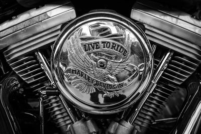 Live to Ride