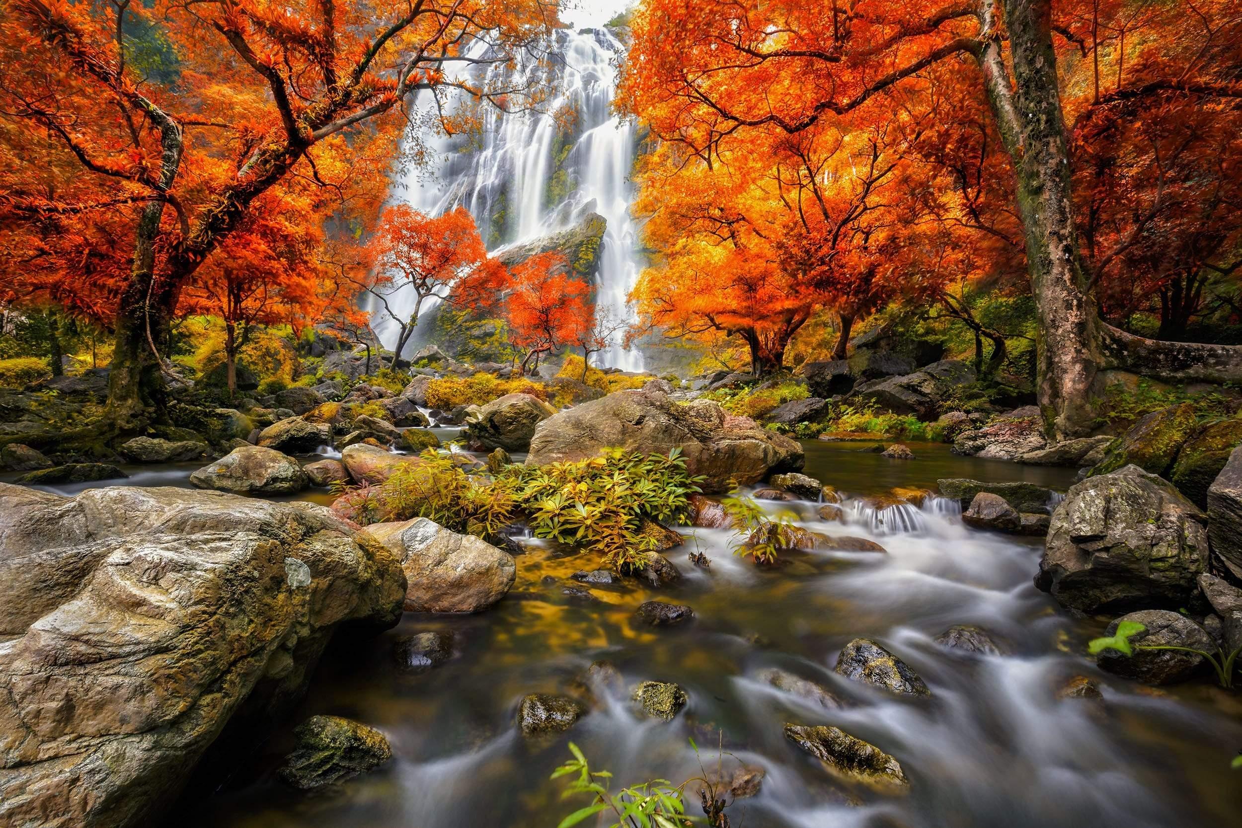 Magestic Waterfall with Fall colours
