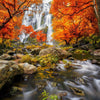 Magestic Waterfall with Fall Colours