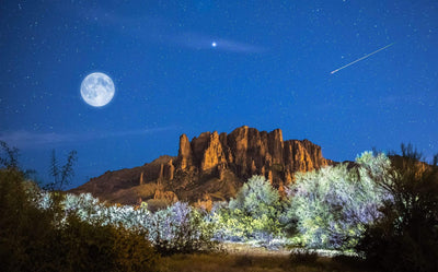 Mountains overlook brush with the night sky and moon