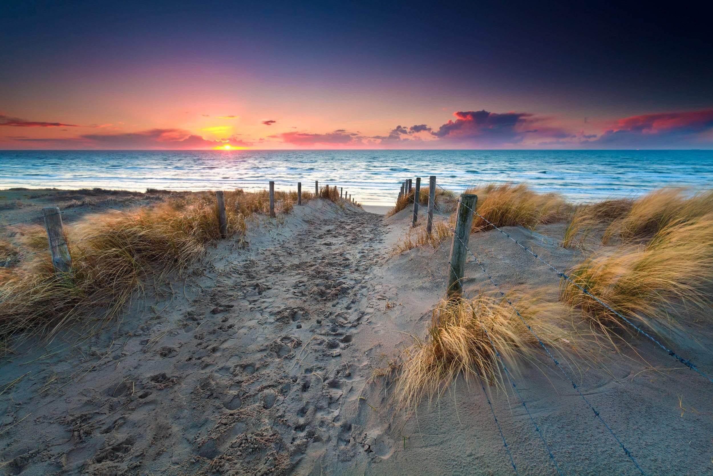 Path to Beach with Sunset Over Water
