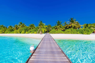 Pier onto beach w blue sky and palm trees