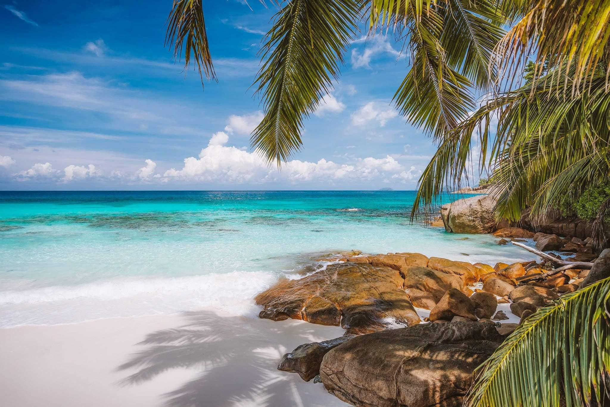 Rocks on Beach with Palm leaves