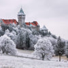 Smolenice Castle with snowy trees