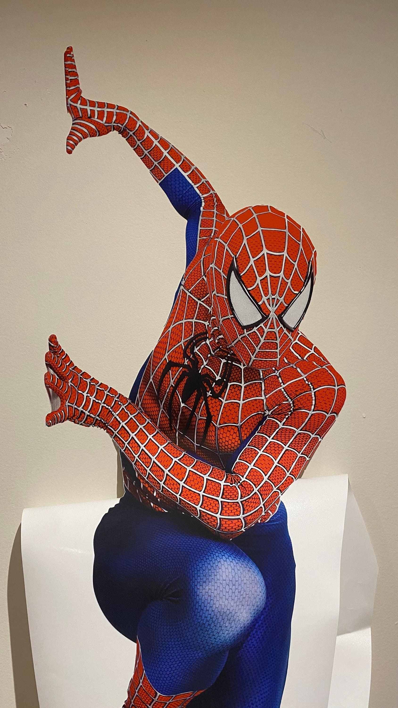 Spiderman Decal Arm Out is great for a kids room No Wall Damage and Removable Anytime