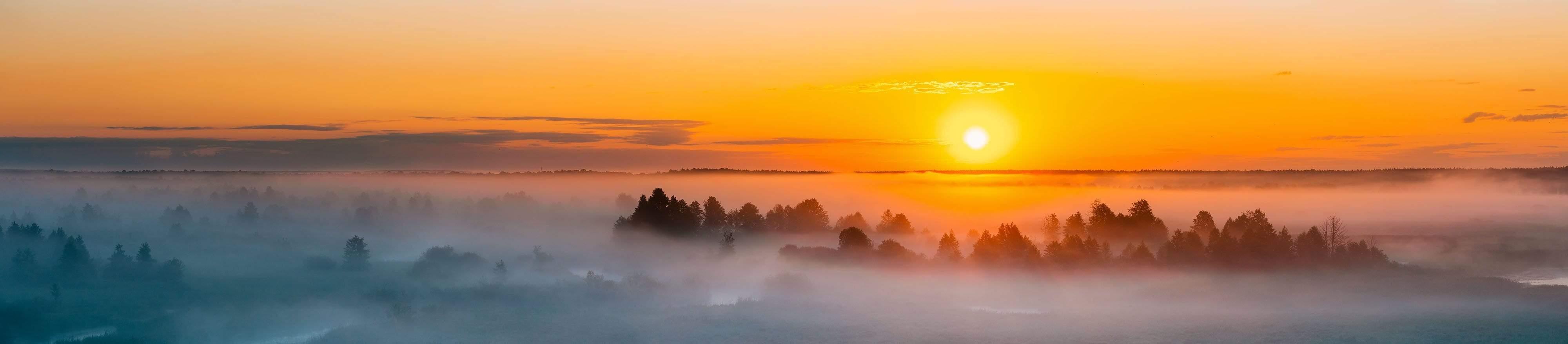 Wide Sunset over foggy forest